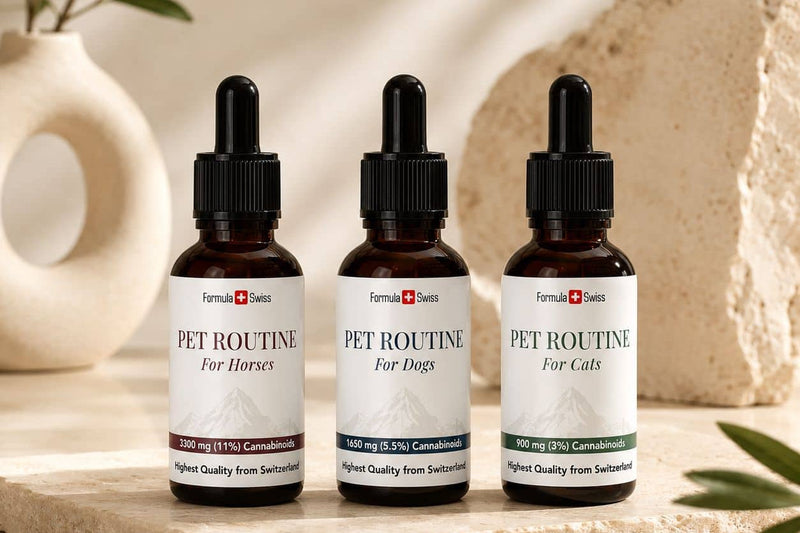 Formula Swiss Pet Routine CBD olja za konje, pse in mačke na kamniti podlagi