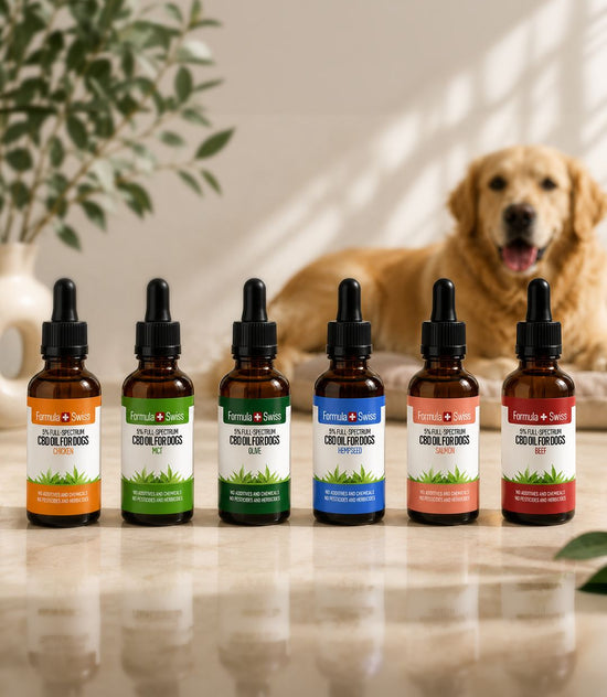CBD Oil for Dogs