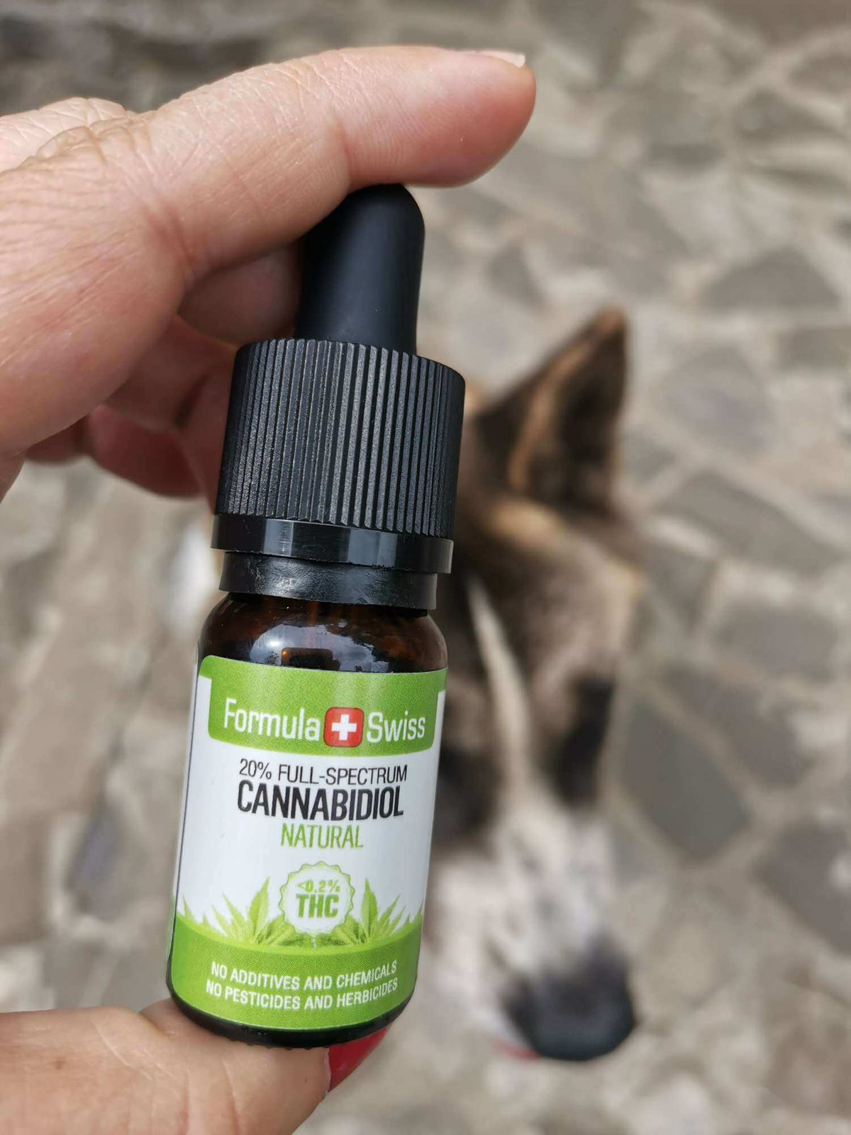 CBD olje Formula Swiss v olju MCT – naravno
